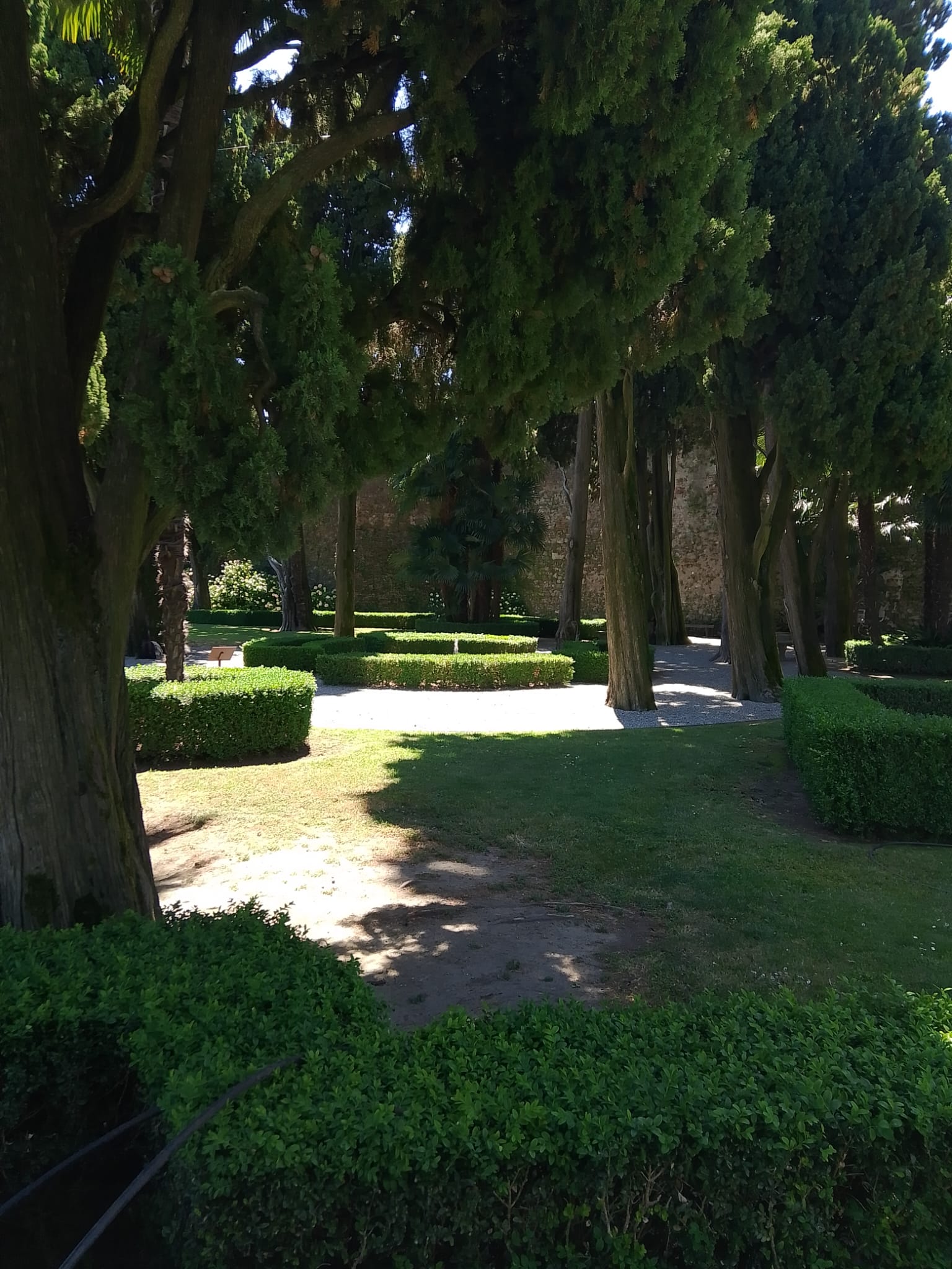 IMG-20260608-WA0002