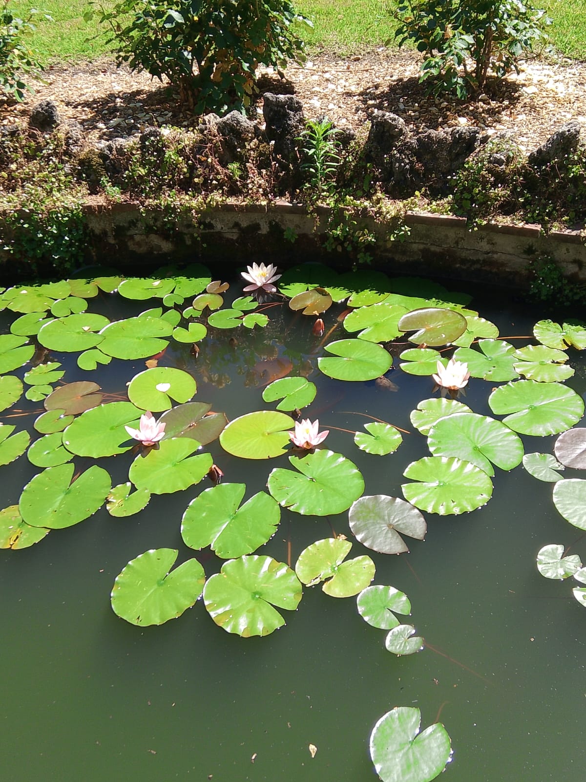 IMG-20260608-WA0022